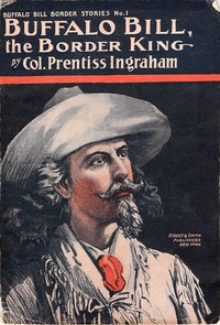 Cover of Buffalo Bill, the Border King; Or, Redskin and Cowboy — Themes and Context