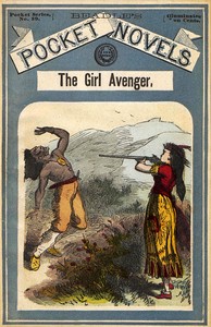 Cover of The Girl Avenger; or, The Beauti...